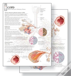 Capa do artigo Understanding Copd Study Set Replacement Pads