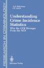 Understanding Crime Incidence Statistics - Preview