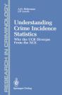Understanding Crime Incidence Statistics - Preview