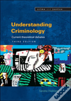 Understanding Criminology
