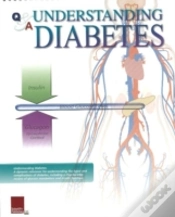 Capa do artigo Understanding Diabetes Flip Chart