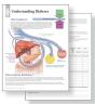 Understanding Diabetes Study Set Replacement Pads - Preview