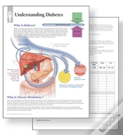 Capa do artigo Understanding Diabetes Study Set Replacement Pads