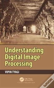 Capa do artigo Understanding Digital Image Processing