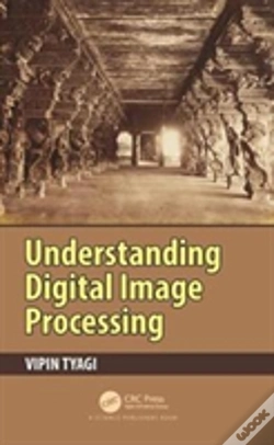 Capa do artigo Understanding Digital Image Processing