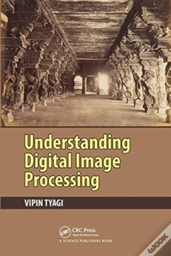 Capa do artigo Understanding Digital Image Processing