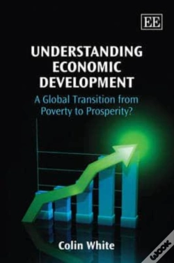 Capa do artigo Understanding Economic Development - A Global Transition From Poverty To Prosperity?
