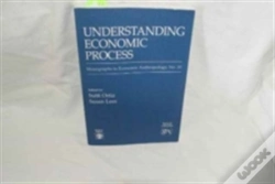 Capa do artigo Understanding Economic Process