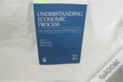 Capa do artigo Understanding Economic Process