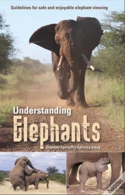 Capa do artigo Understanding Elephants