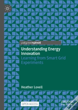 Capa do artigo Understanding Energy Innovation