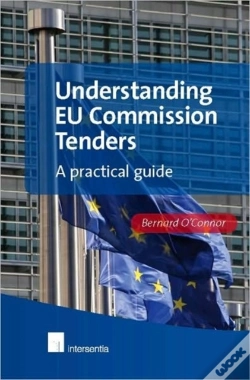 Capa do artigo Understanding Eu Commission Tenders