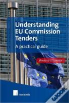 Understanding Eu Commission Tenders