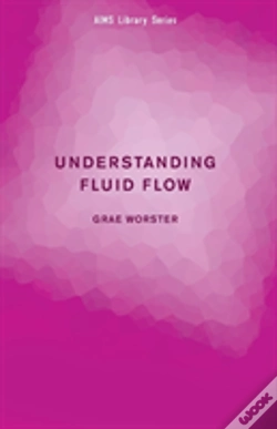 Capa do artigo Understanding Fluid Flow