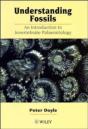 Understanding Fossils - Preview