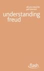 Understanding Freud: Flash - Preview