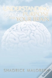 Capa do artigo Understanding God
