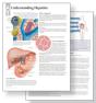 Understanding Hepatitis Study Set Replacement Pads - Preview