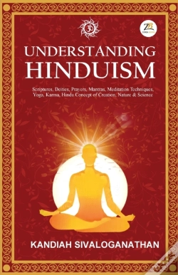 Capa do artigo Understanding Hinduism