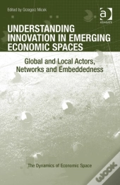 Understanding Innovation In Emerging Economic Spaces