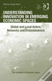 Capa do artigo Understanding Innovation In Emerging Economic Spaces
