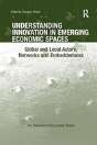 Understanding Innovation In Emerging Economic Spaces - Preview