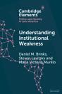 Understanding Institutional Weakness - Preview