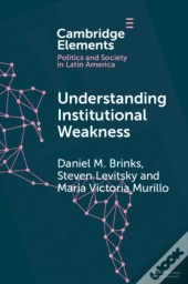 Understanding Institutional Weakness