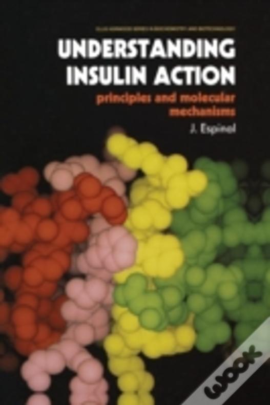 Understanding Insulin Action