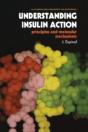 Understanding Insulin Action - Preview