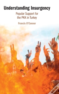 Capa do artigo Understanding Insurgency