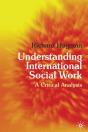 Understanding International Social Work - Preview