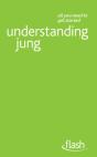 Understanding Jung: Flash - Preview