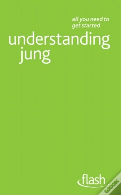 Capa do artigo Understanding Jung: Flash