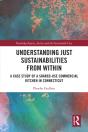 Understanding Just Sustainabilities From Within - Preview