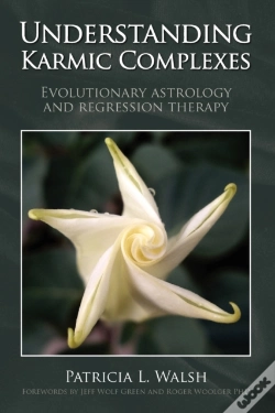 Capa do artigo Understanding Karmic Complexes