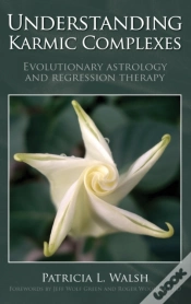 Capa do artigo Understanding Karmic Complexes