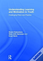 Understanding Learning And Motivation In Youth