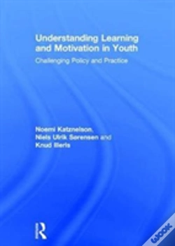 Capa do artigo Understanding Learning And Motivation In Youth