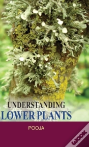 Capa do artigo Understanding Lower Plants
