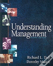 Capa do artigo UNDERSTANDING MANAGEMENT