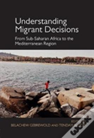 Understanding Migrant Decisions