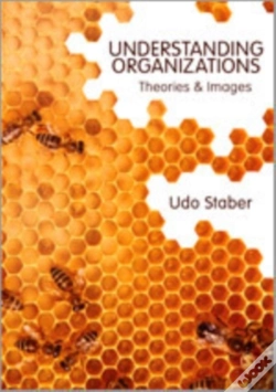 Capa do artigo Understanding Organizations