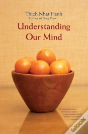 Capa do artigo Understanding Our Mind