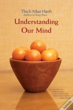 Capa do artigo Understanding Our Mind