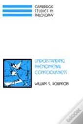 Understanding Phenomenal Consciousness