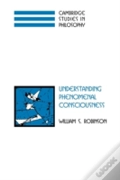 Understanding Phenomenal Consciousness