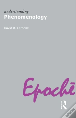 Capa do artigo Understanding Phenomenology