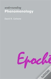 Capa do artigo Understanding Phenomenology