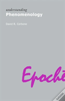 Capa do artigo Understanding Phenomenology
